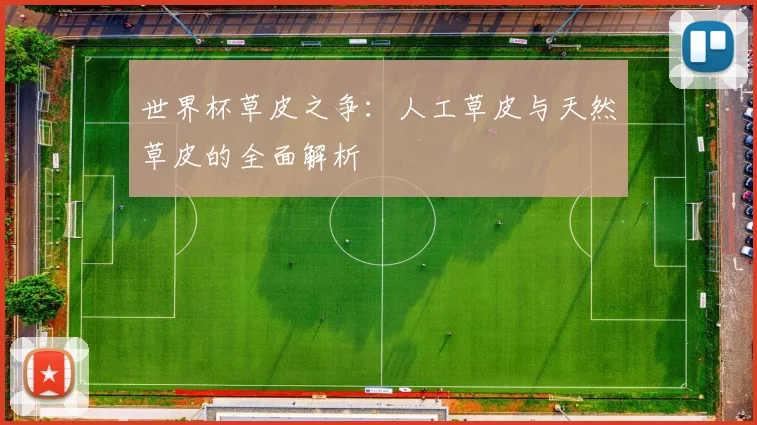 世界杯草皮之争：人工草皮与天然草皮的全面解析